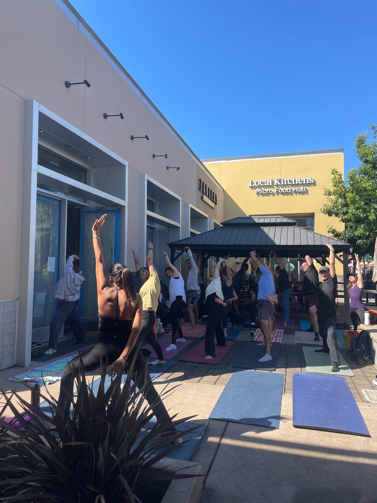Zareen Yoga 2023, SF Bay Area chapter